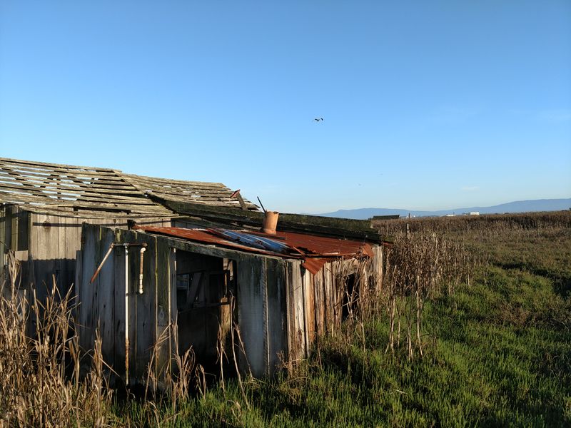 Drawbridge, California