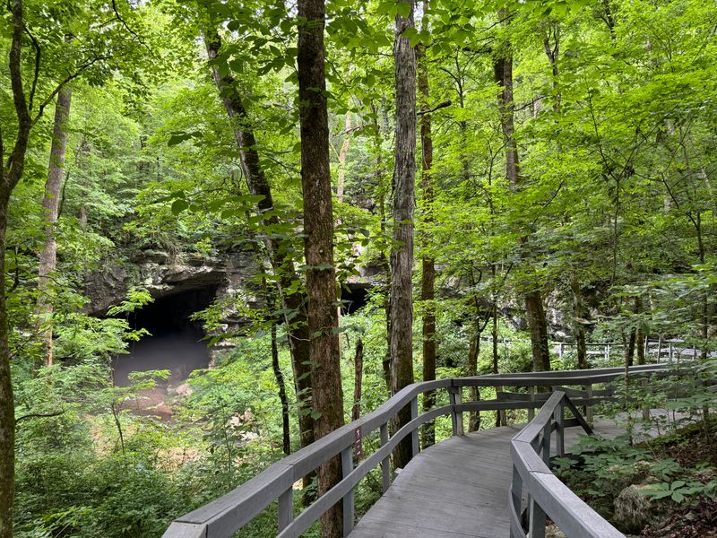 Rich Hunting Grounds