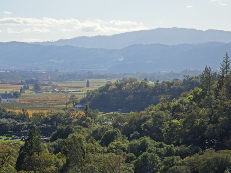 Mountain Fringe Complexity