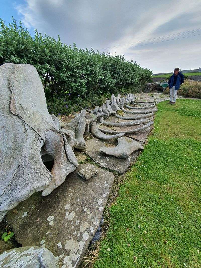 Visit the Westray Heritage Centre for the island's best stories