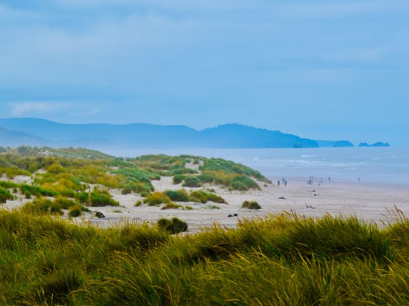 Nehalem Bay State Park Loop