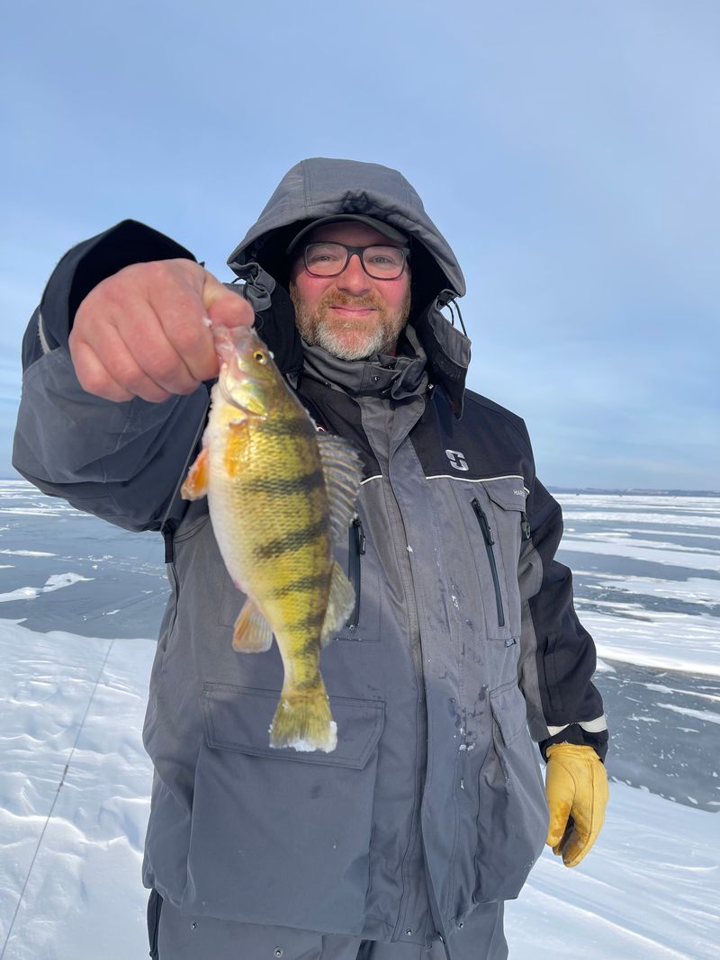 Walleye And Multi-Species Action