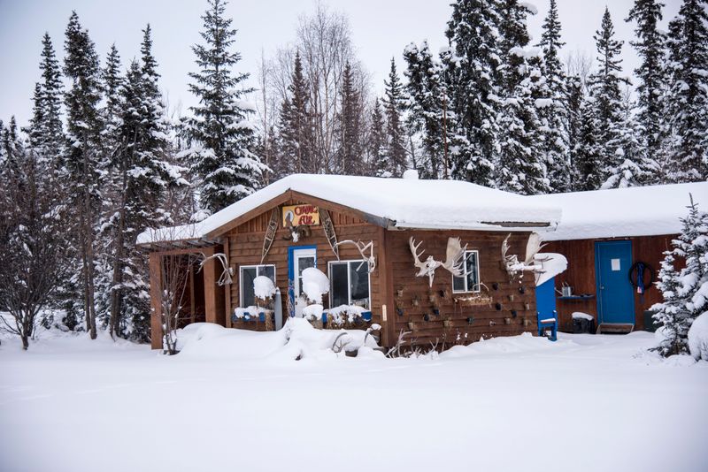 Winter Delivers Spectacular Northern Lights