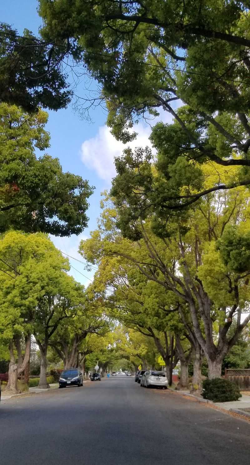 Atherton, California