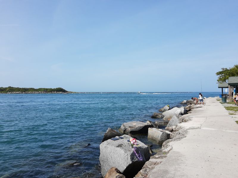 Excellent Snorkeling and Diving