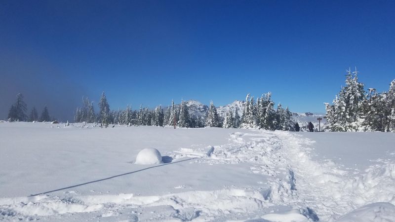 Winter Snowshoeing Views
