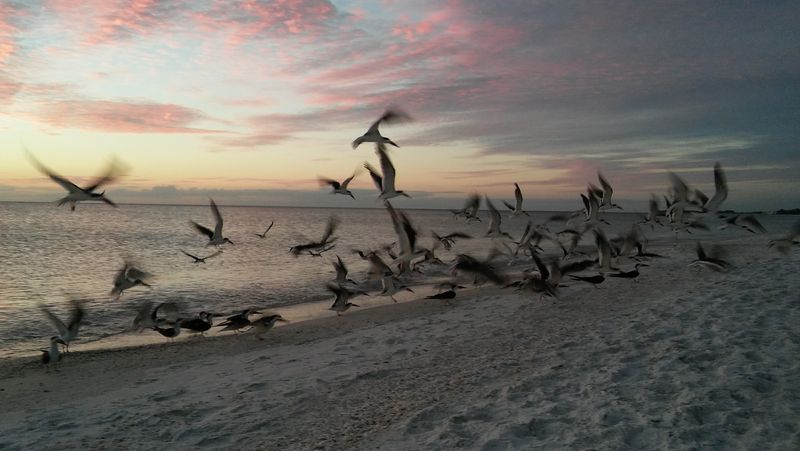 Chill Brunch Near Holmes Beach City Hall