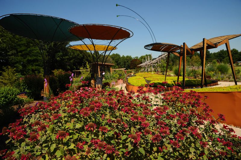 Events and Community Moments