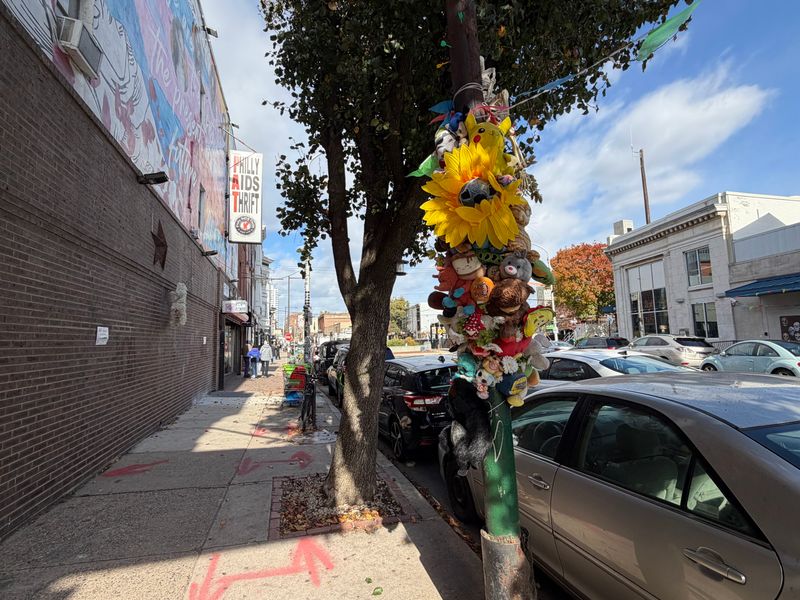 Accessibility, Parking, and Getting There