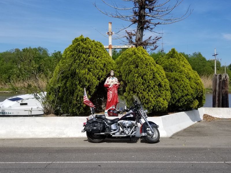 Festivals, Zydeco Nights, and Porch Sessions