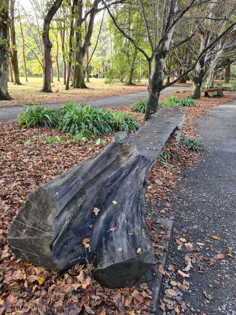 New Zealand's South Island — Nature's Outdoor Playground
