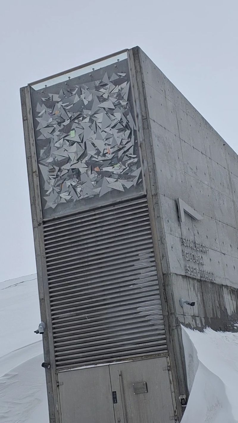 Insurance Against Disaster