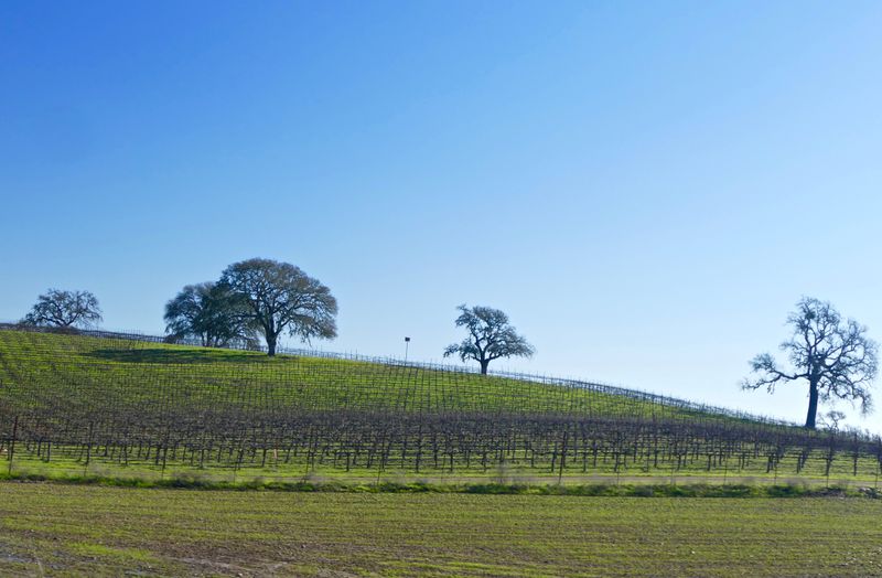 Budget-Friendly Itinerary: 48 Hours In Paso