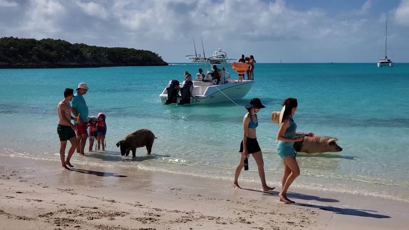 You don't just drive there - you visit by boat tour (or by flying then boating)