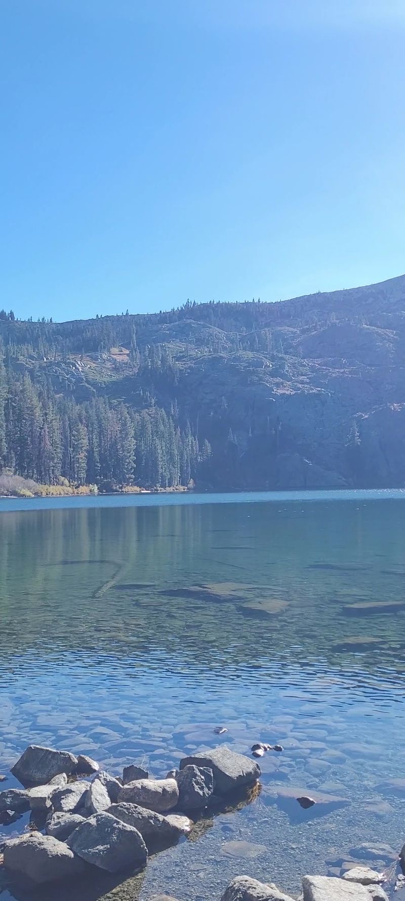 Swimming Is Possible - but Cold