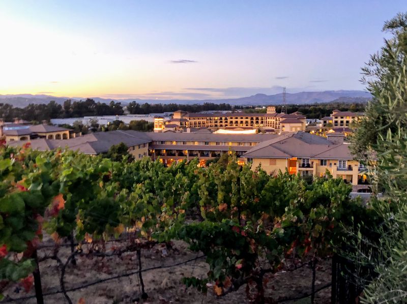 Northern California Wine & Farm-to-Table Drive – Napa to Mendocino