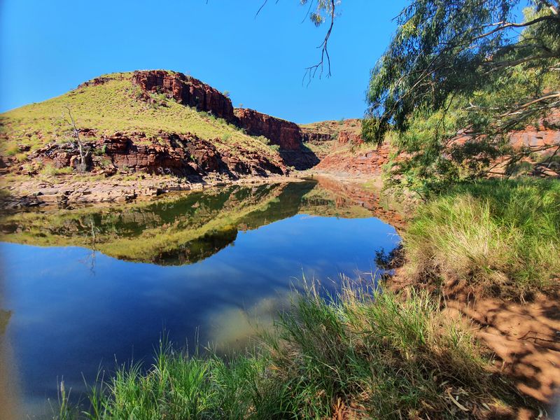 The Findings May Guide Exploration Worldwide