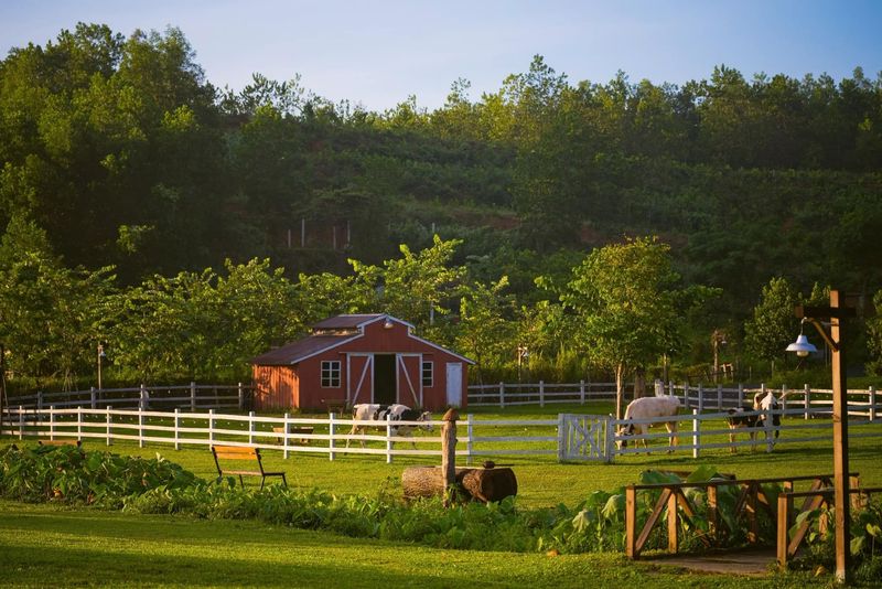 Community Composting and Soil Health