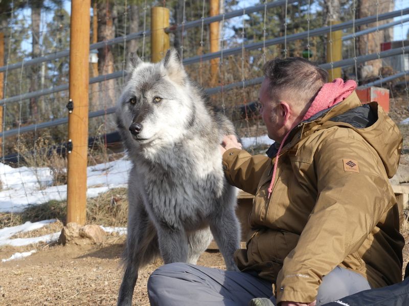 There are add-on encounters for people who want something more interactive