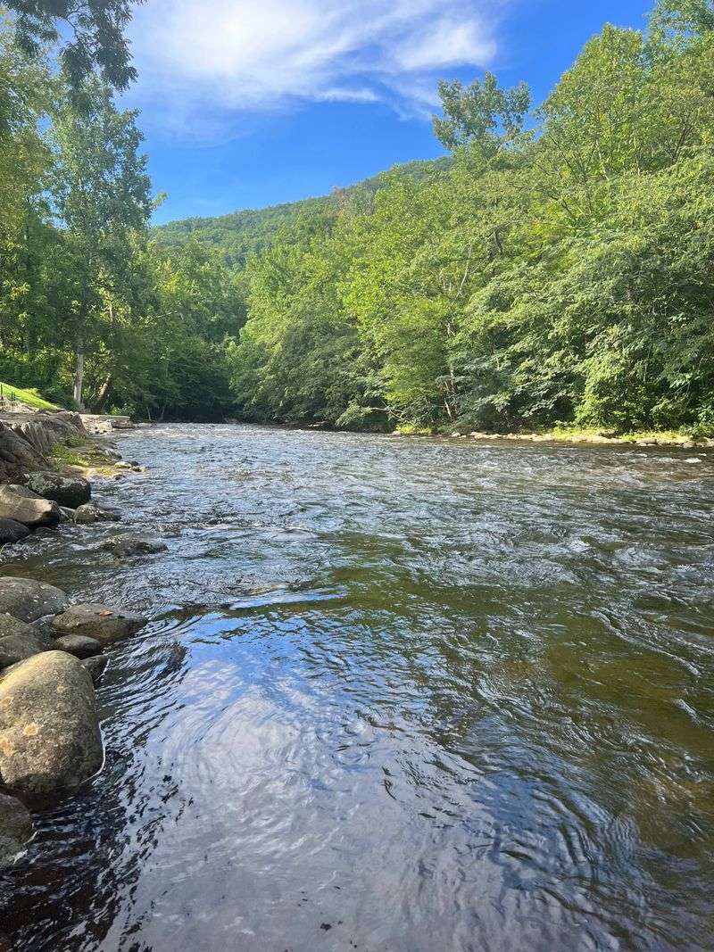 Float Down the Little River — Townsend’s Signature Summer Activity