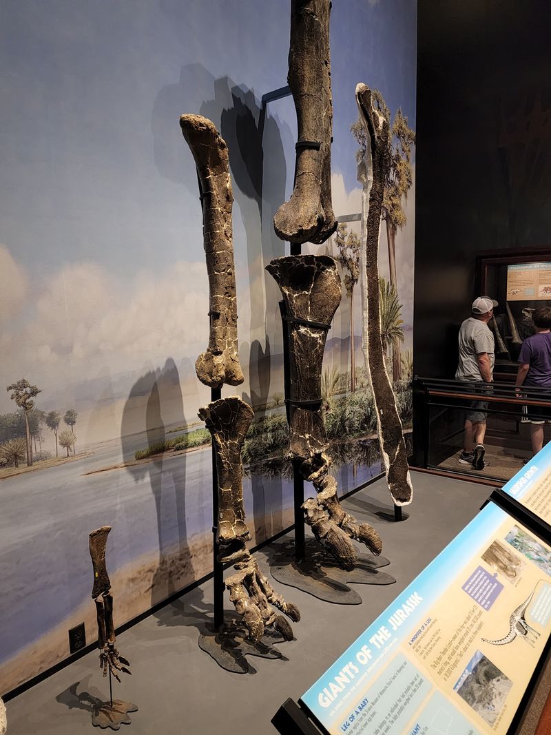 The Martin Children's Discovery Center