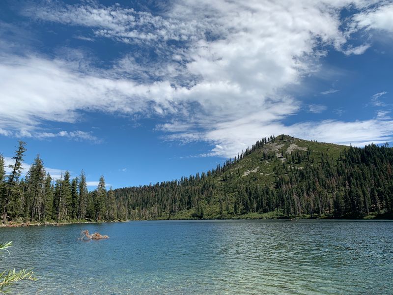 Fishing Is Allowed With a Valid License