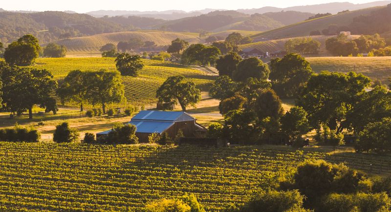 Signature Grapes: Rhône Reds And Beyond