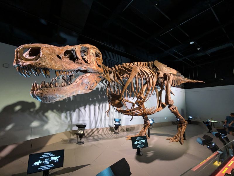 Tom Siebel Dinosaur Complex