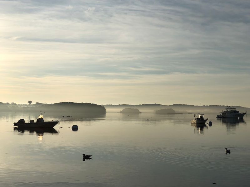 Harbor Mornings Without a Script