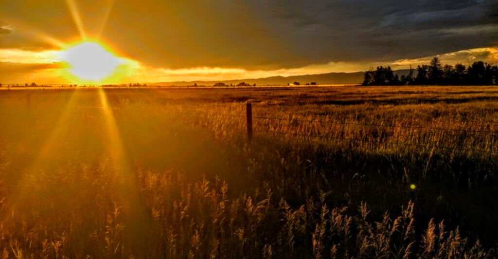 The Montana Town Locals Are Fleeing Bozeman For