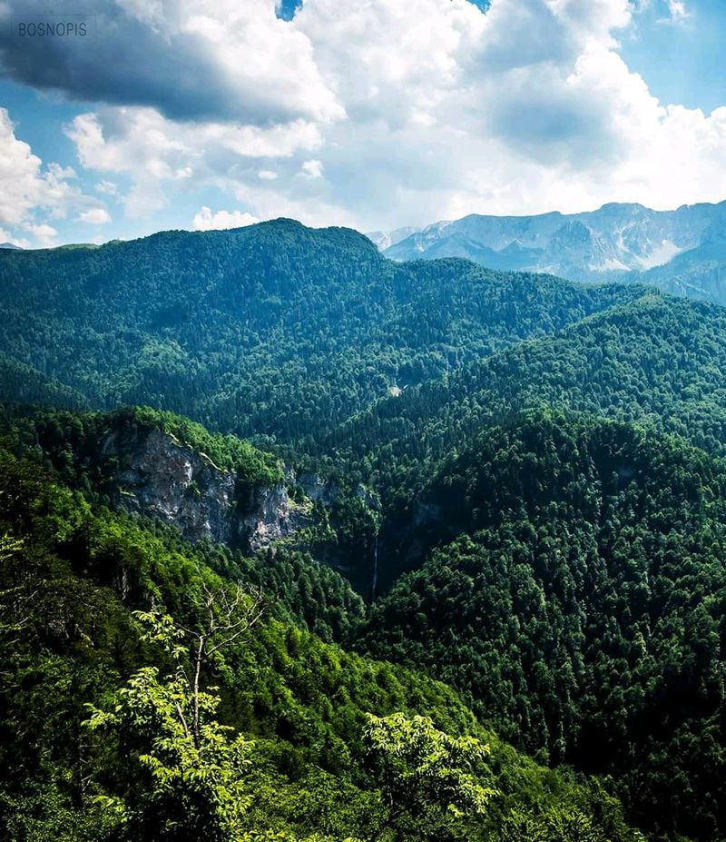 Perućica is one of Europe's last primeval forests
