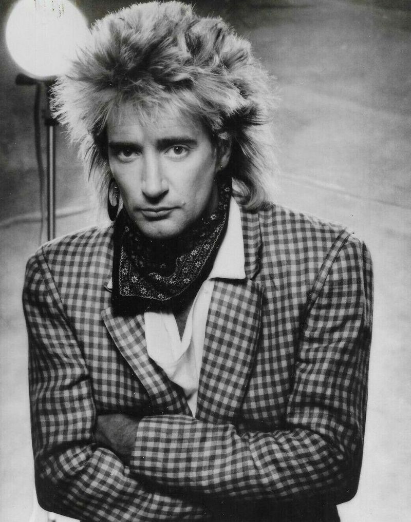 Da Ya Think I'm Sexy? by Rod Stewart (1978)