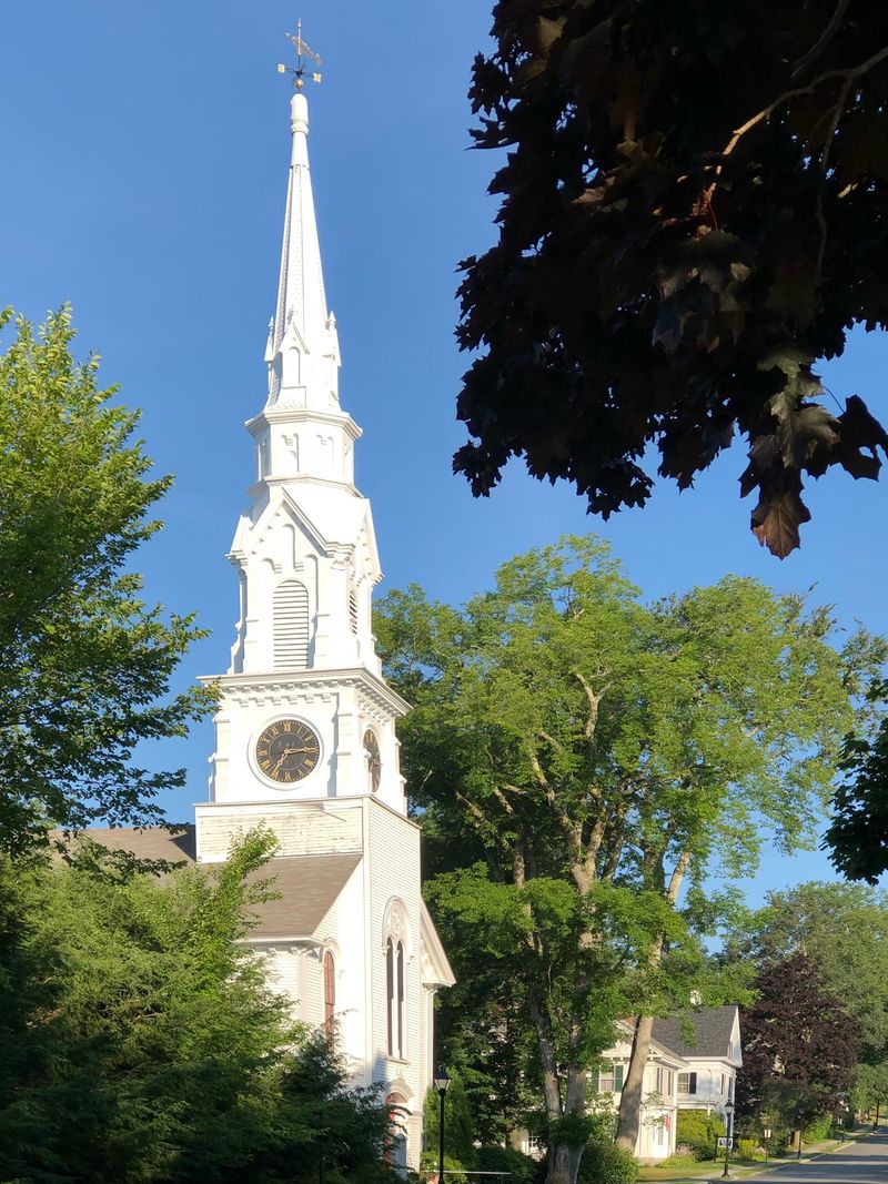 Ancient Roots You Can Walk
