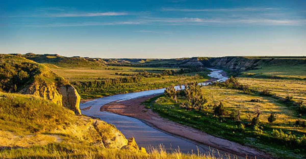 The Only U.S. State Truly Free of Wild Bears – And 11 Others Without Resident Populations