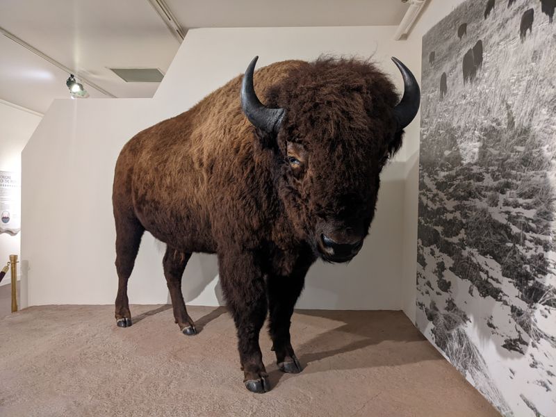 The Native American Hall