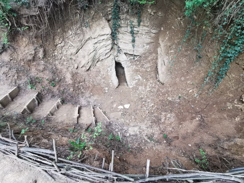 Excavations Began Without Academic Backing