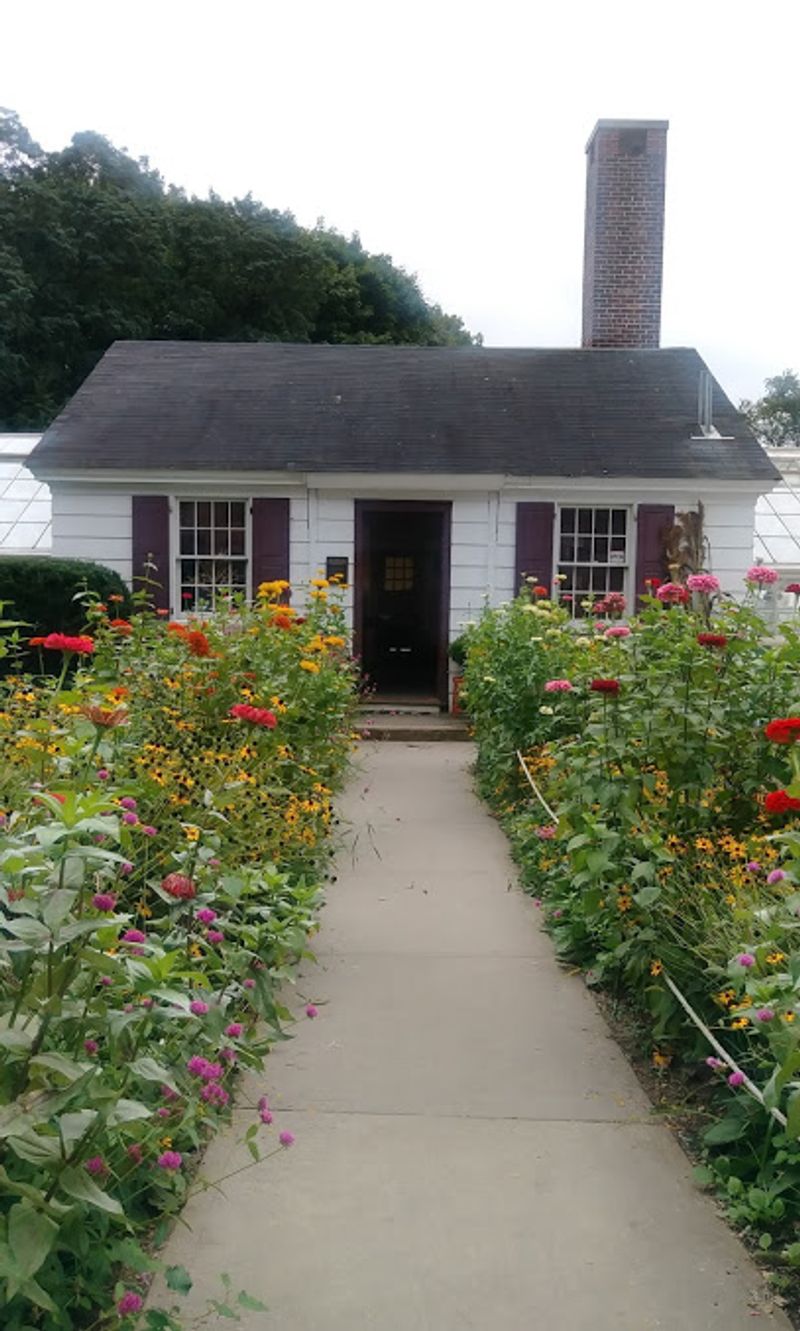 Beekeeping and Pollinator Habitats