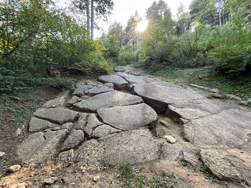 Supporters Claim Advanced Construction Techniques