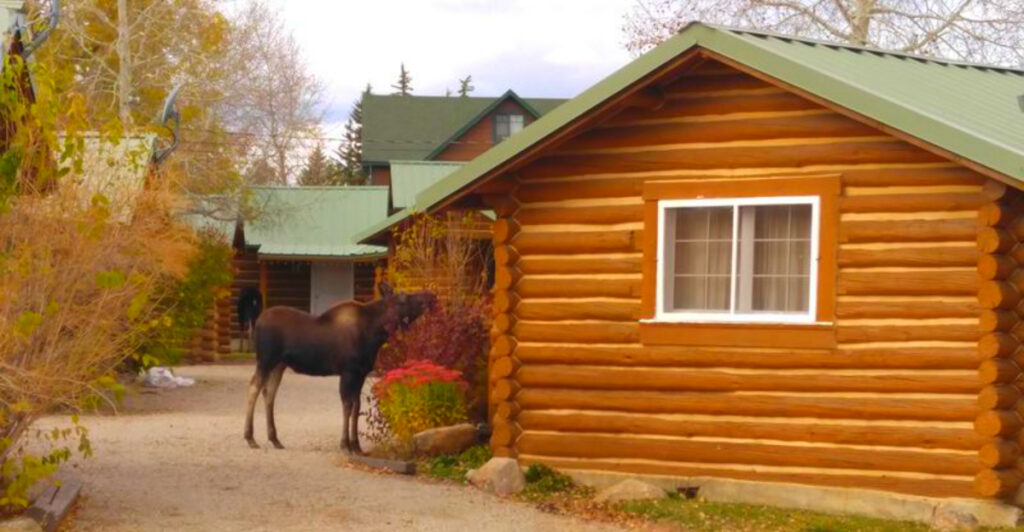 The Wyoming Town Where Locals Are Escaping Jackson Hole Prices