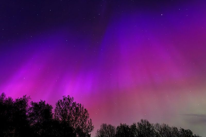 G1 to G5 is a real scale, and G5 is genuinely rare