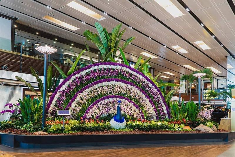 It's designed to make you slow down (which is rare in airports)