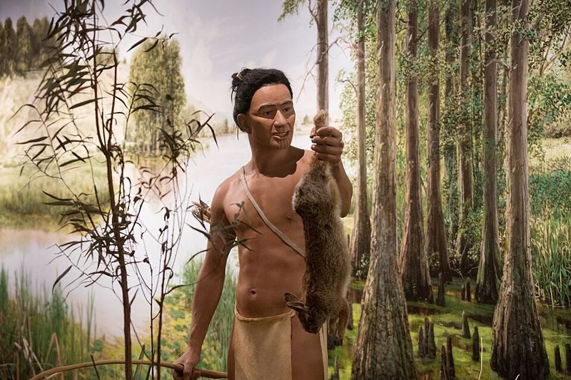 Mississippian Culture (Cahokia) on the Mississippi River