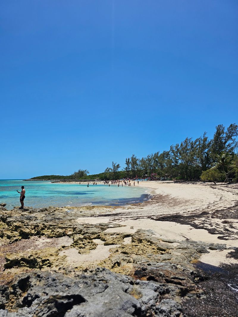 Pig Beach is on Big Major Cay (aka Pig Island) in the Exumas