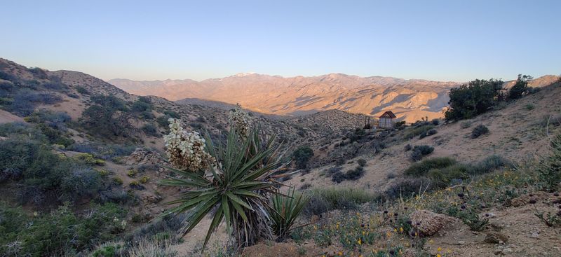 Rising Destination Status