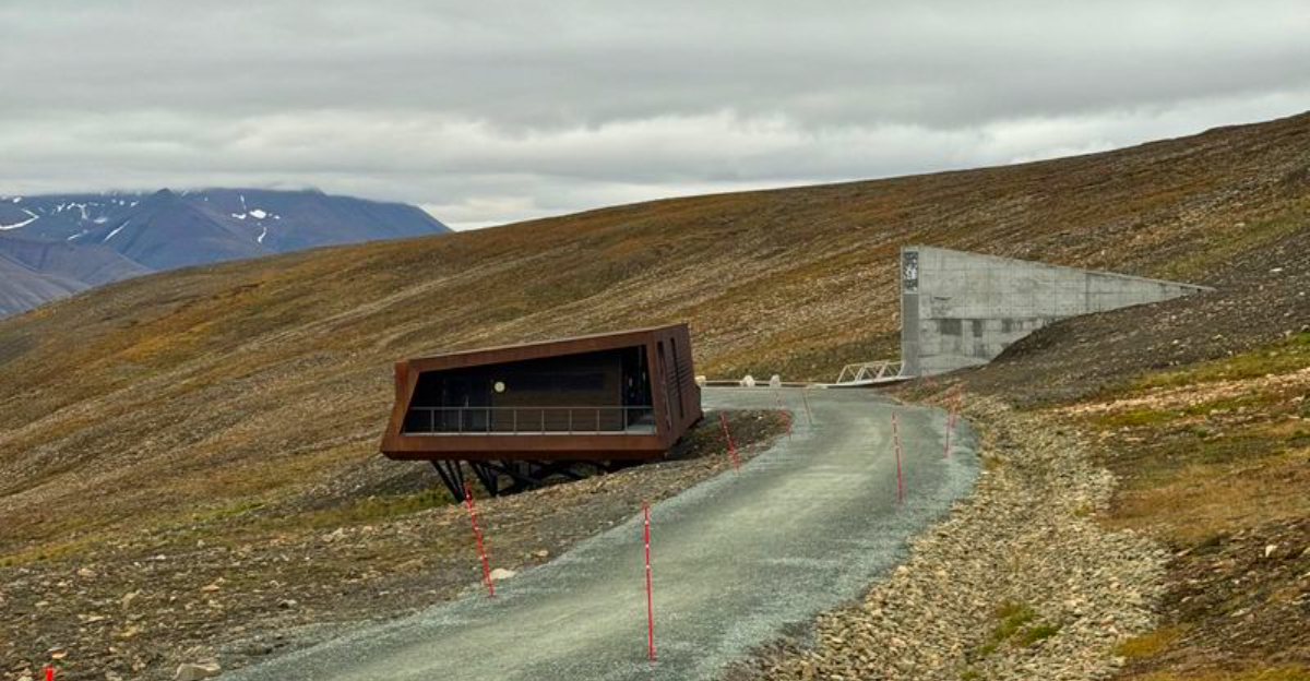 This Frozen Island Protects Humanity’s Future
