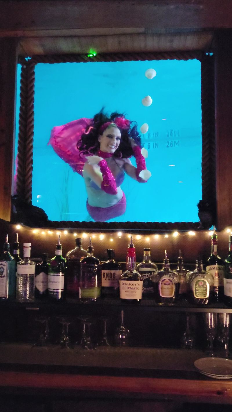 Porthole Mermaid Views Up Close