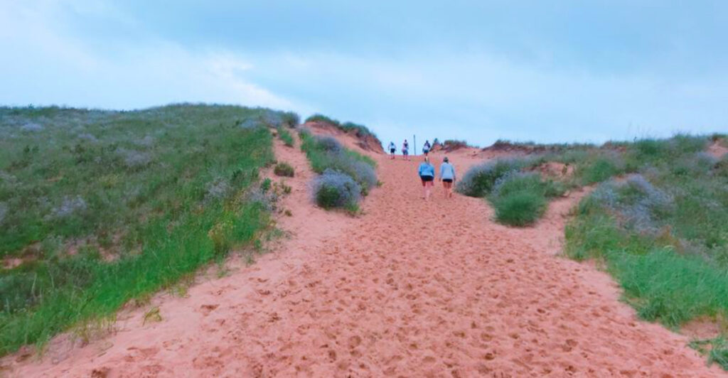 This Michigan Trail Leads Through Towering Sand Dunes and Stunning Lake Views