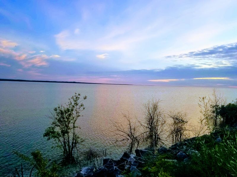 Stargaze at Headlands International Dark Sky Park