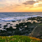 This Tiny California Coastal Town Is Giving Big Sur Vibes