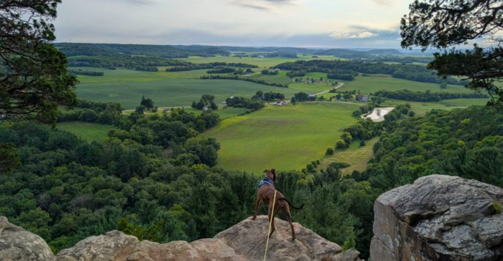 This Wisconsin City Near Madison Blends Lake Views With Vineyard Tours